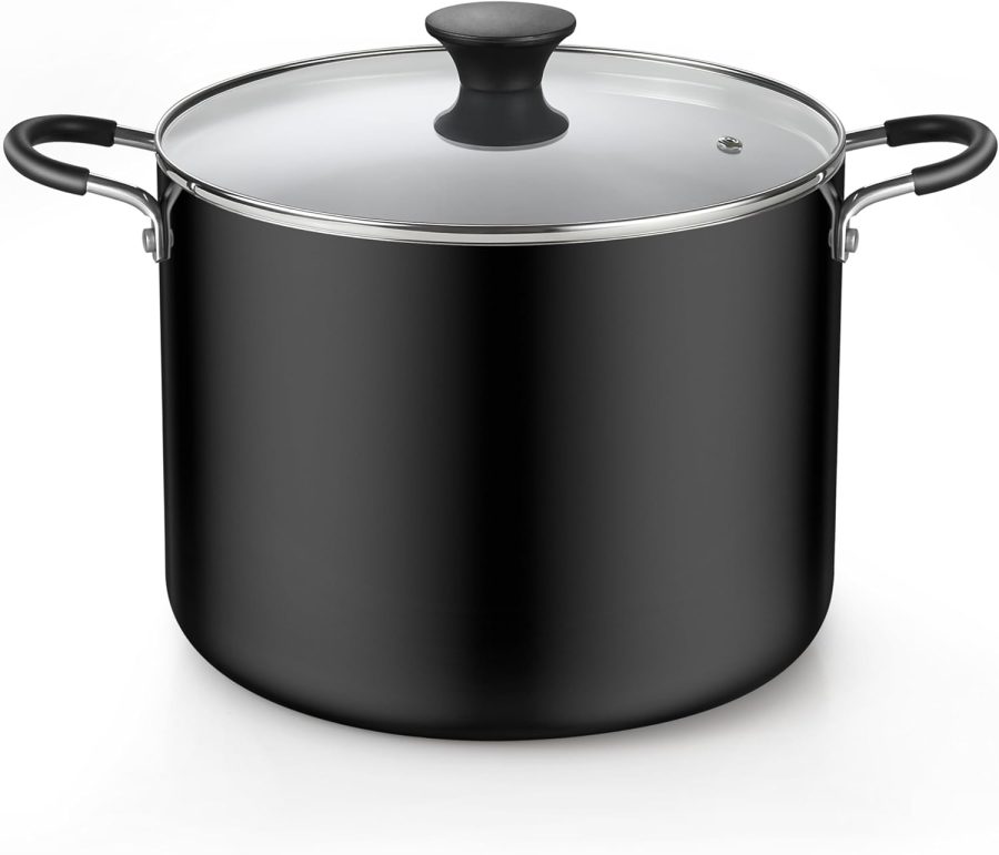Nonstick Stockpot with Lid 10.5-Qt, Deep Cooking Pot Cookware Canning Stock Pot with Glass Lid, Black